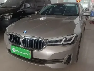 BMW 5 Series New Energy 2022 (43100 км)