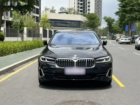 BMW 5 Series 2022 (61200 км)
