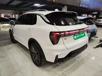 Lynk & Co 01 2023 (51500 км)