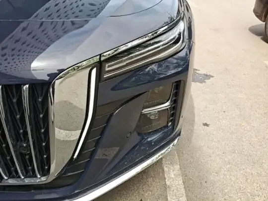 Hongqi H5 2023 (13600 км)