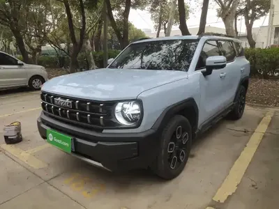Haval X DOG 2022 (14400 км)