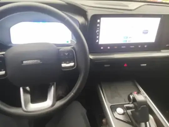 Haval X DOG 2022 (14400 км)