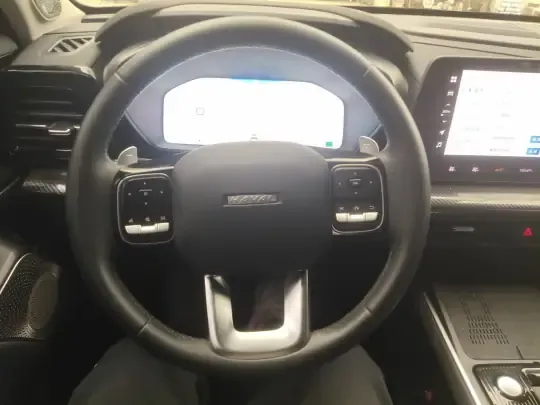 Haval X DOG 2022 (14400 км)