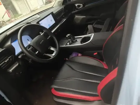 Haval X DOG 2022 (14400 км)
