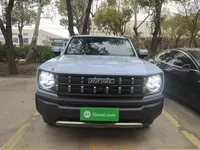 Haval X DOG 2022 (14400 км)