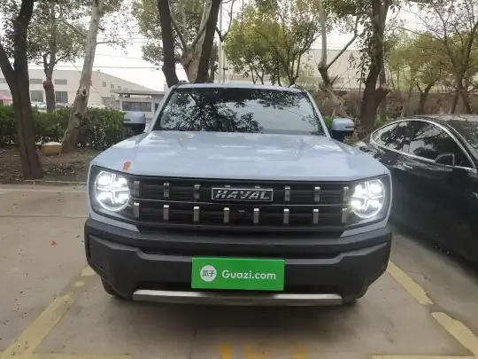 Haval X DOG 2022 (14400 км)