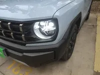 Haval X DOG 2022 (14400 км)