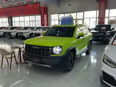 Haval X DOG 2022 (19200 км)