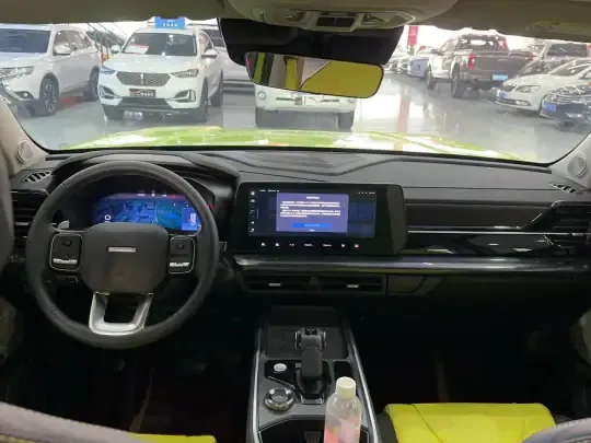 Haval X DOG 2022 (19200 км)