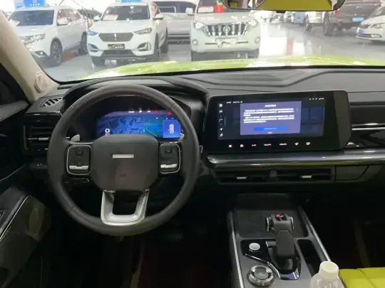 Haval X DOG 2022 (19200 км)