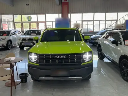 Haval X DOG 2022 (19200 км)