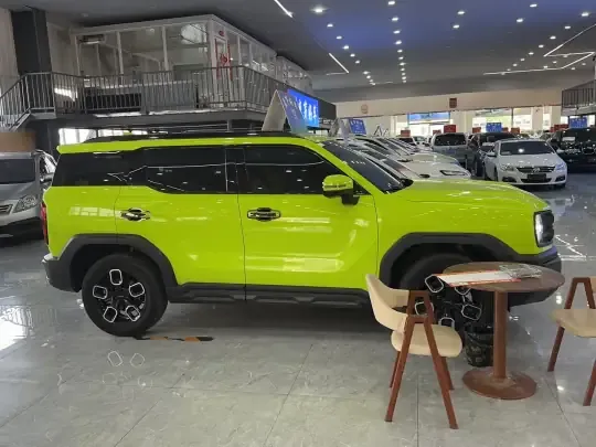 Haval X DOG 2022 (19200 км)