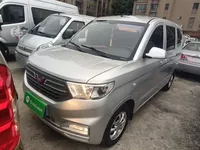 Wuling Hongguang V 2022 (30000 км)