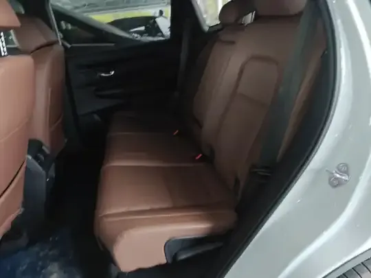 Honda CR-V New Energy 2023 (100 км)