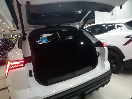 JETOUR Dashing 2022 (33200 км)