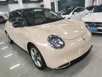 ORA Good Cat 2022 (28700 км)