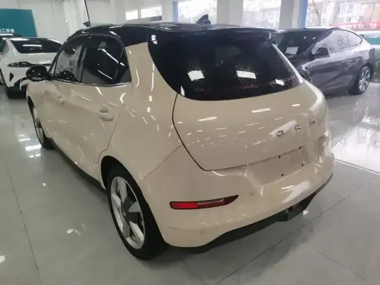 ORA Good Cat 2022 (28700 км)