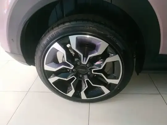 Lynk & Co 06 2023 (11100 км)