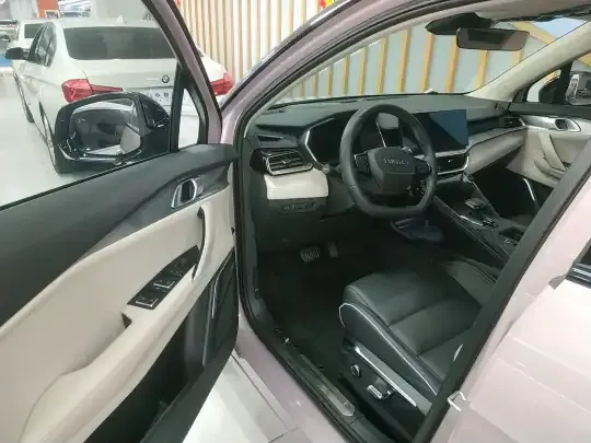 Lynk & Co 06 2023 (11100 км)