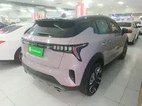 Lynk & Co 06 2023 (11100 км)