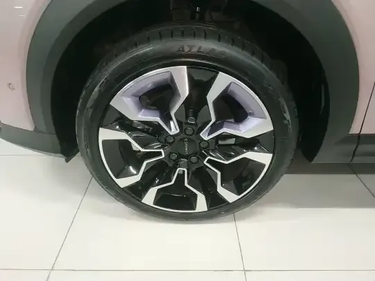Lynk & Co 06 2023 (11100 км)