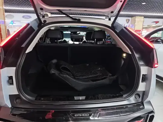GAC Trumpchi EMKOO 2022 (10200 км)