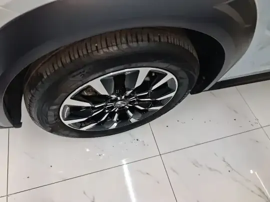 GAC Trumpchi EMKOO 2022 (10200 км)