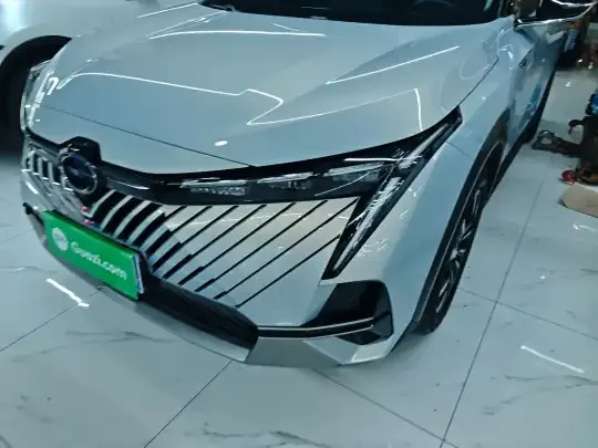 GAC Trumpchi EMKOO 2022 (10200 км)