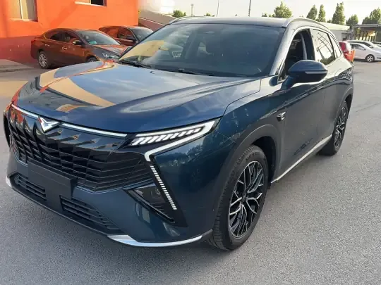 Cowin Kunlun 2023 (19900 км)