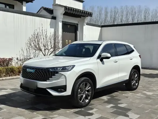 Haval H6 New Energy 2023 (76500 км)