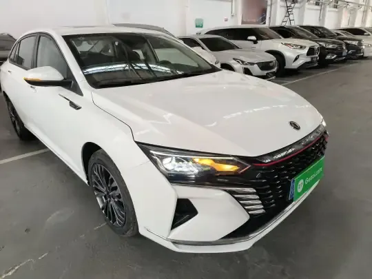 Dongfeng Aeolus Yixuan MAX 2023 (8300 км)