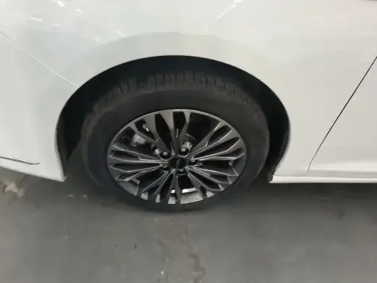 Dongfeng Aeolus Yixuan MAX 2023 (8300 км)