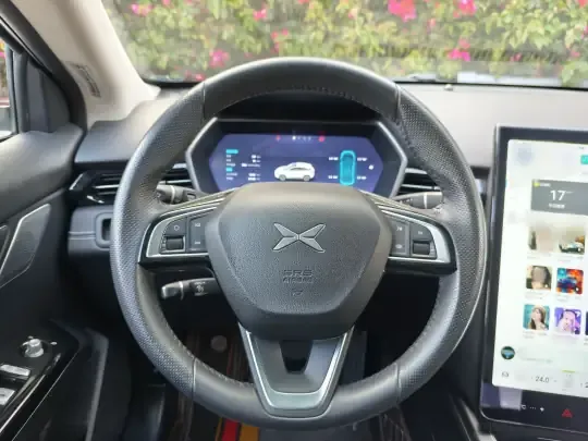 XPeng G3 2022 (24100 км)