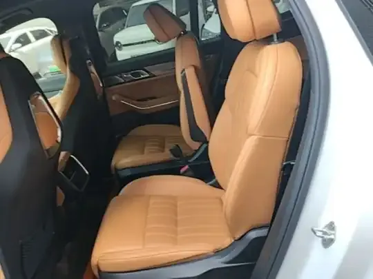Lynk & Co 09 EM-P 2023 (37700 км)