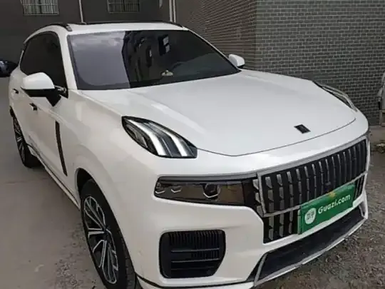 Lynk & Co 09 EM-P 2023 (37700 км)