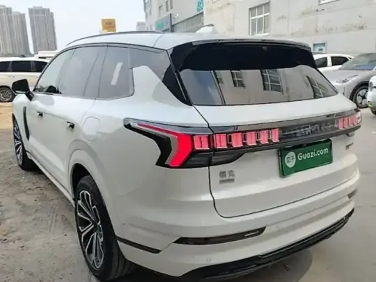 Lynk & Co 09 EM-P 2023 (37700 км)