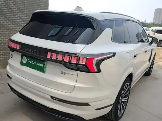 Lynk & Co 09 EM-P 2023 (37700 км)