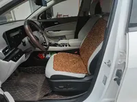Kia Sportage (Chinese Domestic Model) 2023 (21100 км)