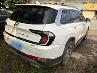 Hyundai Santa Fe 2023 (40500 км)