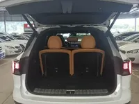 Lynk & Co 09 EM-P 2023 (74700 км)