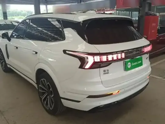 Lynk & Co 09 EM-P 2023 (74700 км)