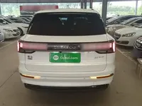 Lynk & Co 09 EM-P 2023 (74700 км)