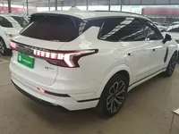Lynk & Co 09 EM-P 2023 (74700 км)
