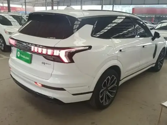 Lynk & Co 09 EM-P 2023 (74700 км)