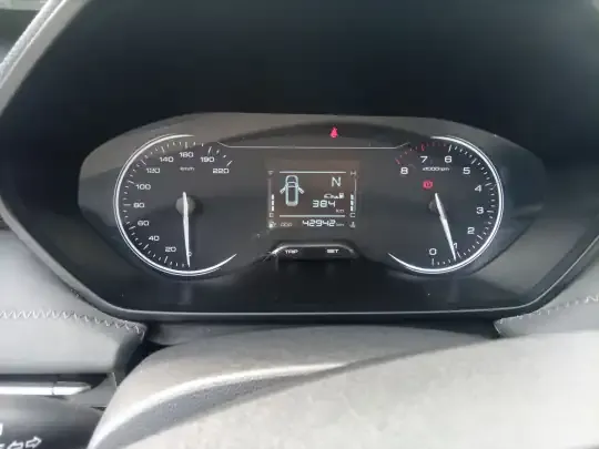 Wuling Alvez 2022 (42900 км)