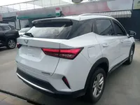 Wuling Alvez 2022 (42900 км)