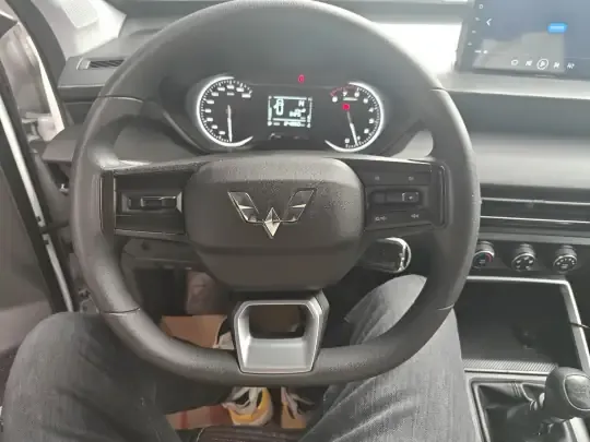 Wuling Alvez 2022 (24800 км)