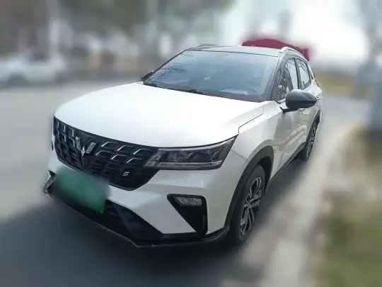 Wuling Alvez 2022 (9800 км)