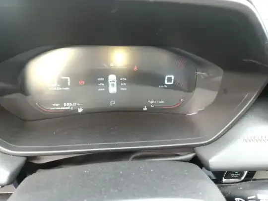 Wuling Alvez 2022 (9800 км)