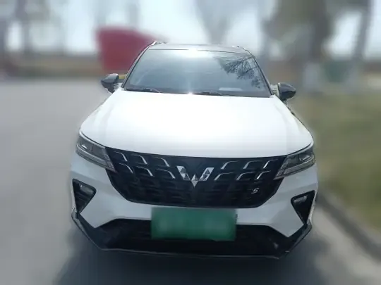 Wuling Alvez 2022 (9800 км)